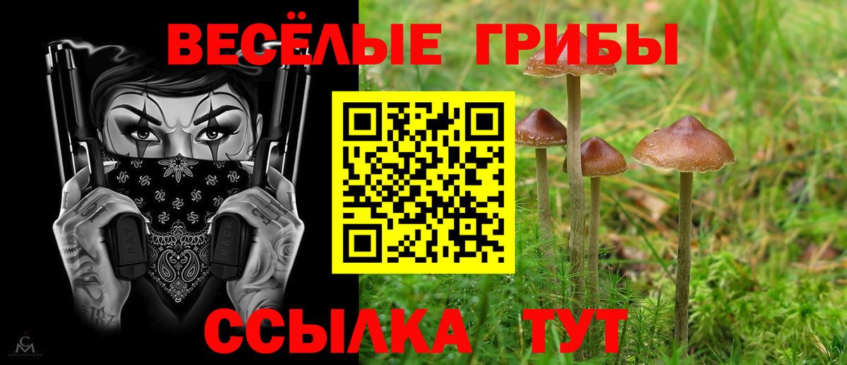 Псилоцибиновые грибы Psilocybe Учалы
